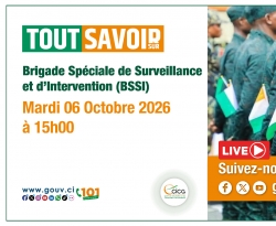 Tout Savoir Sur | Thème : "Brigade Spéciale de Surveillance et d'Int...