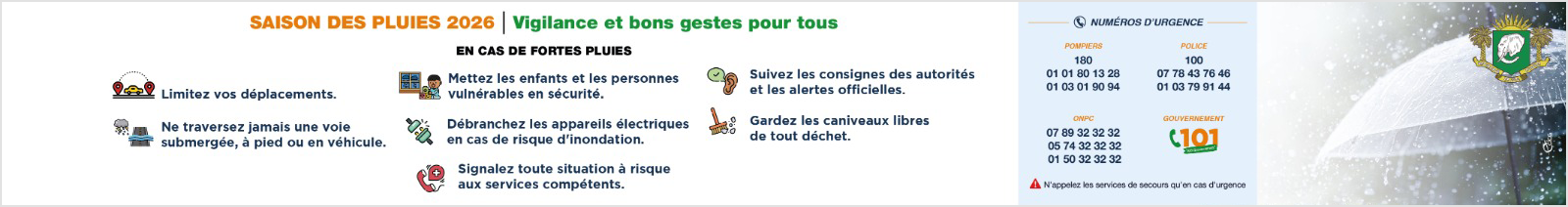 101 ALLO